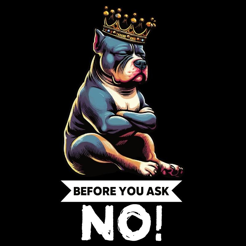 Before You Ask American Bully Bully Pit Bullys