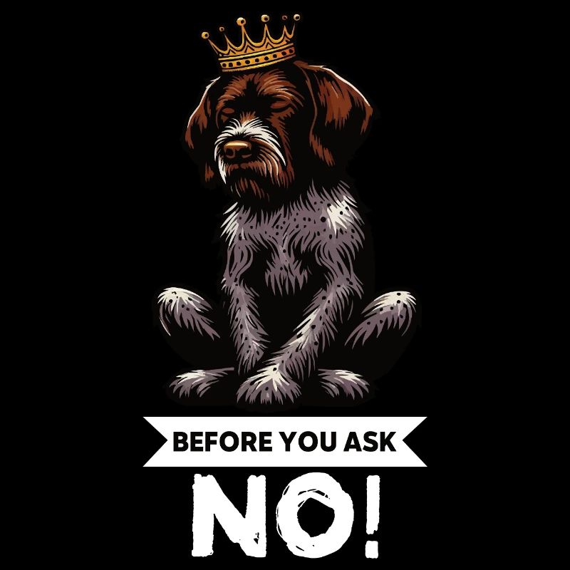 Before You Ask Deutsch Drahthaar Drahthaarhalter