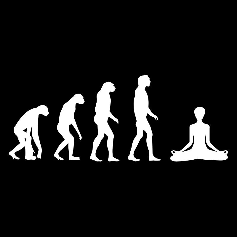yoga evolution
