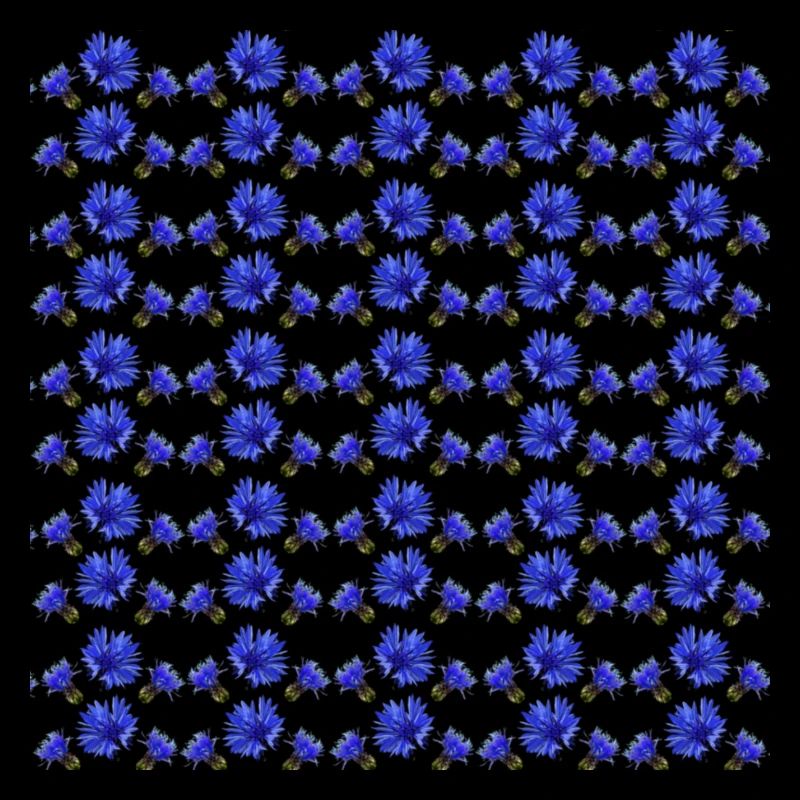 Cornflower Pattern, Gift Woman