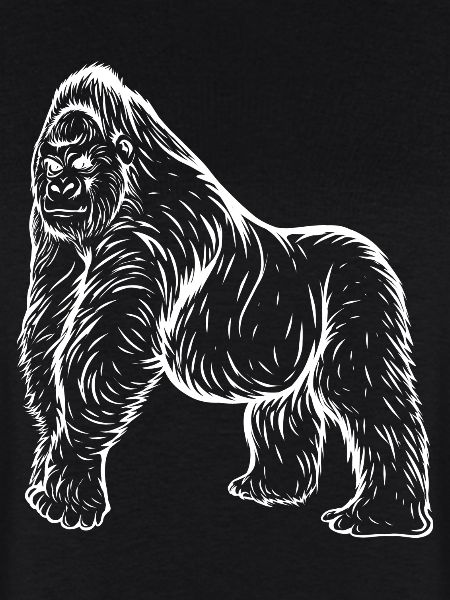 Gorilla