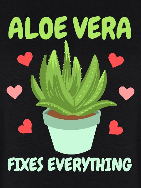 Aloe Vera Succkulente