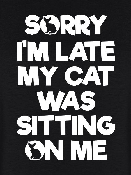 Chaton chat