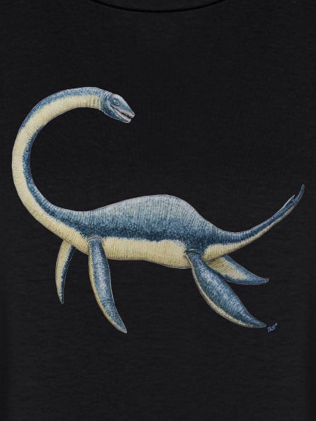 Dinosaure Plesiosaurus