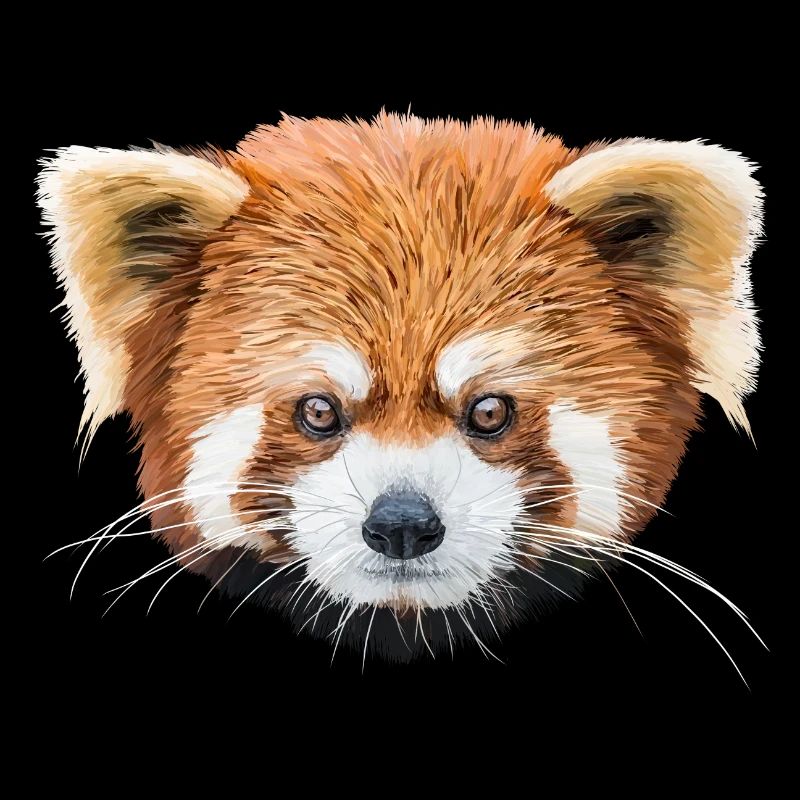 Roter Panda