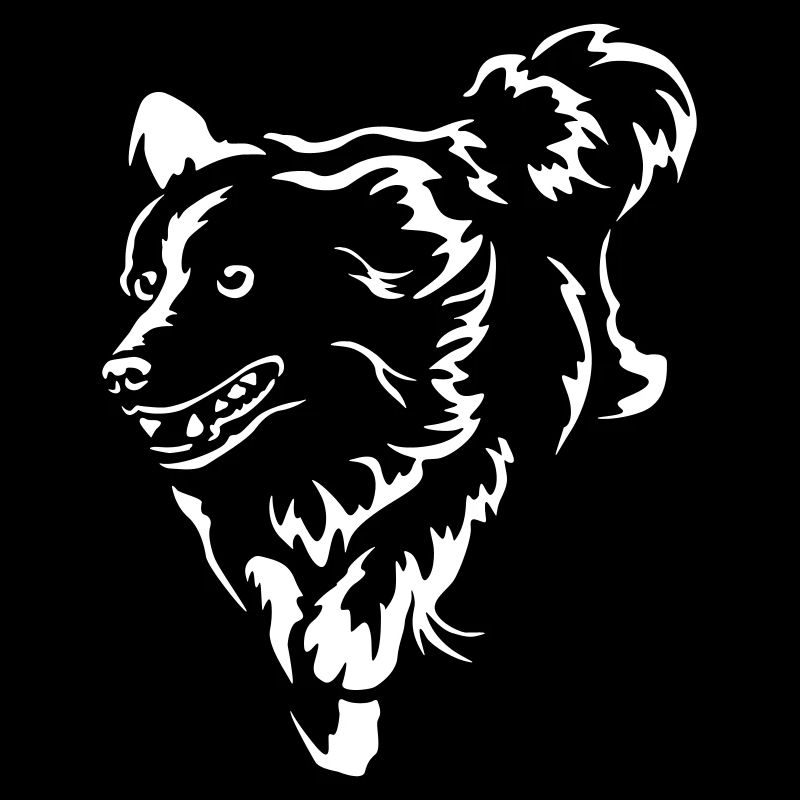 Border Collie "Black Edition"