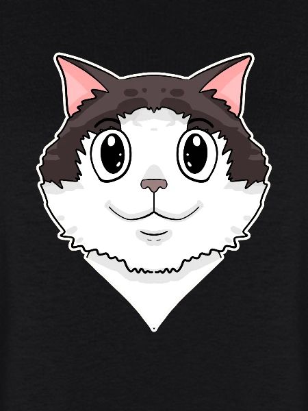 Chat Ragdoll