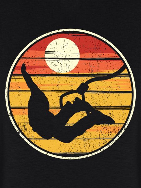 Sunset Silhouette Flight