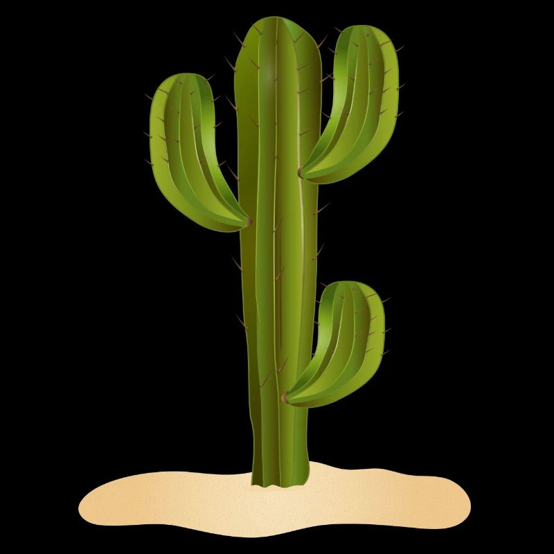 Grand cactus vert dans le désert dans le sable