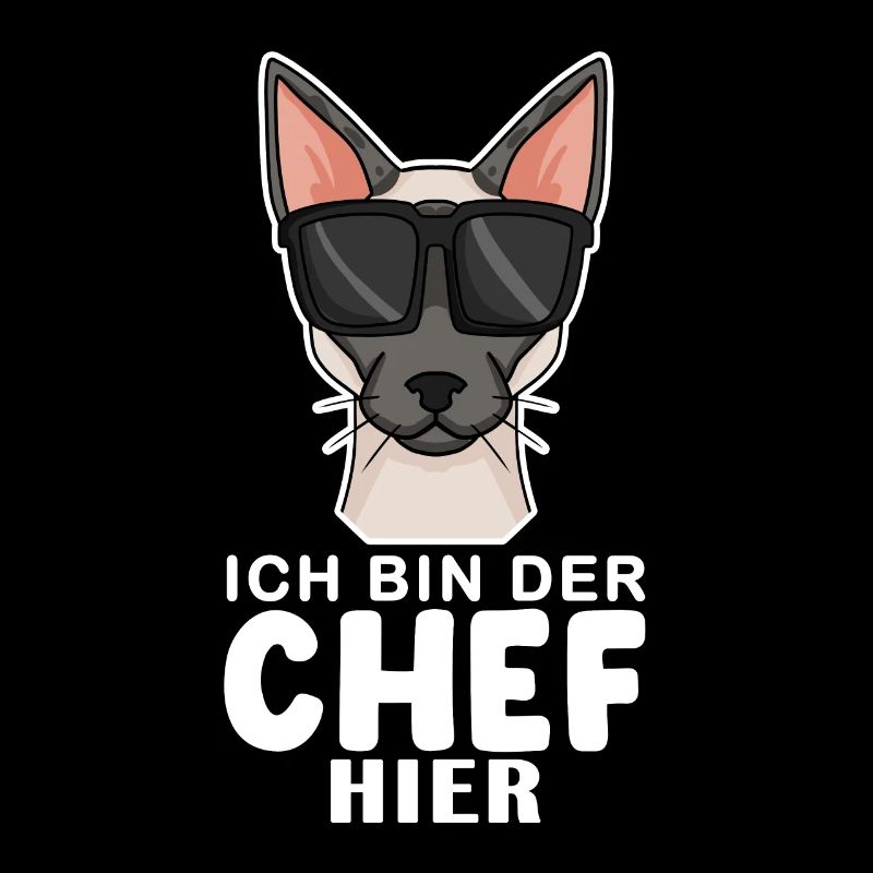 coole Katze - Siamkatze Spruch