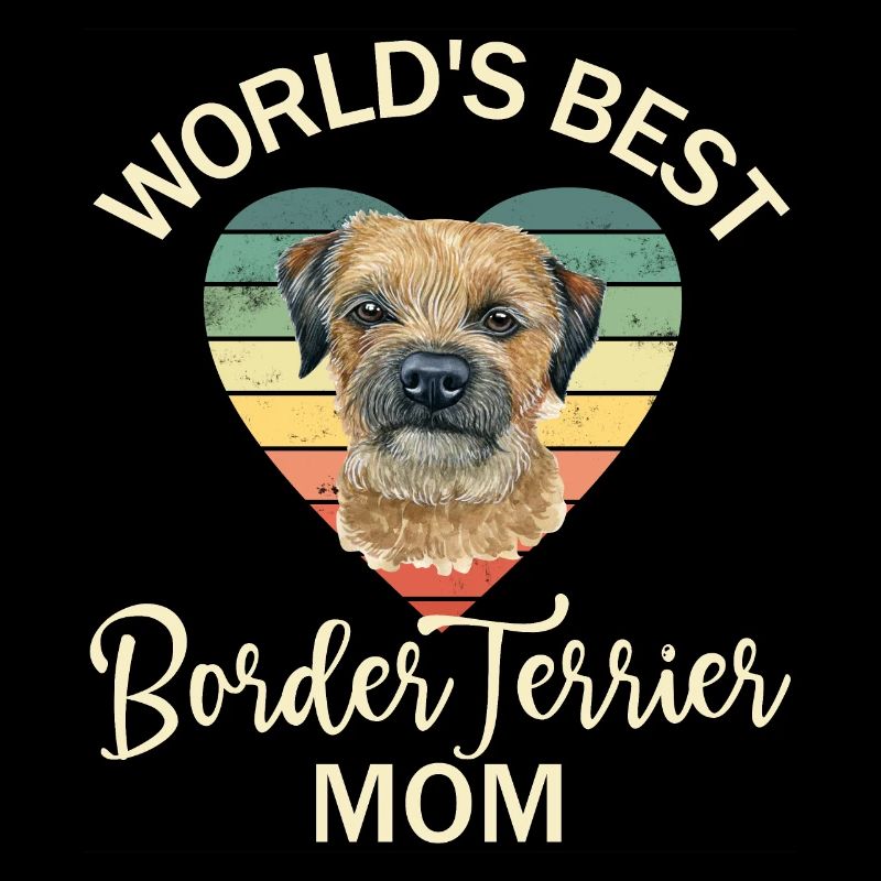 Chien Border Terrier