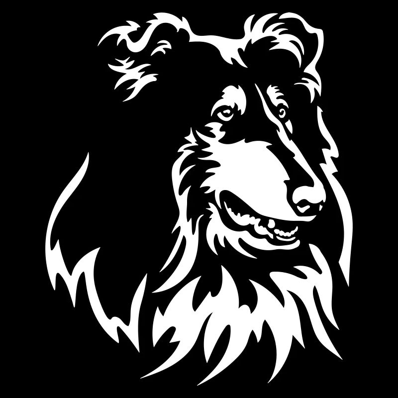Collie Kopf "Black Edition"