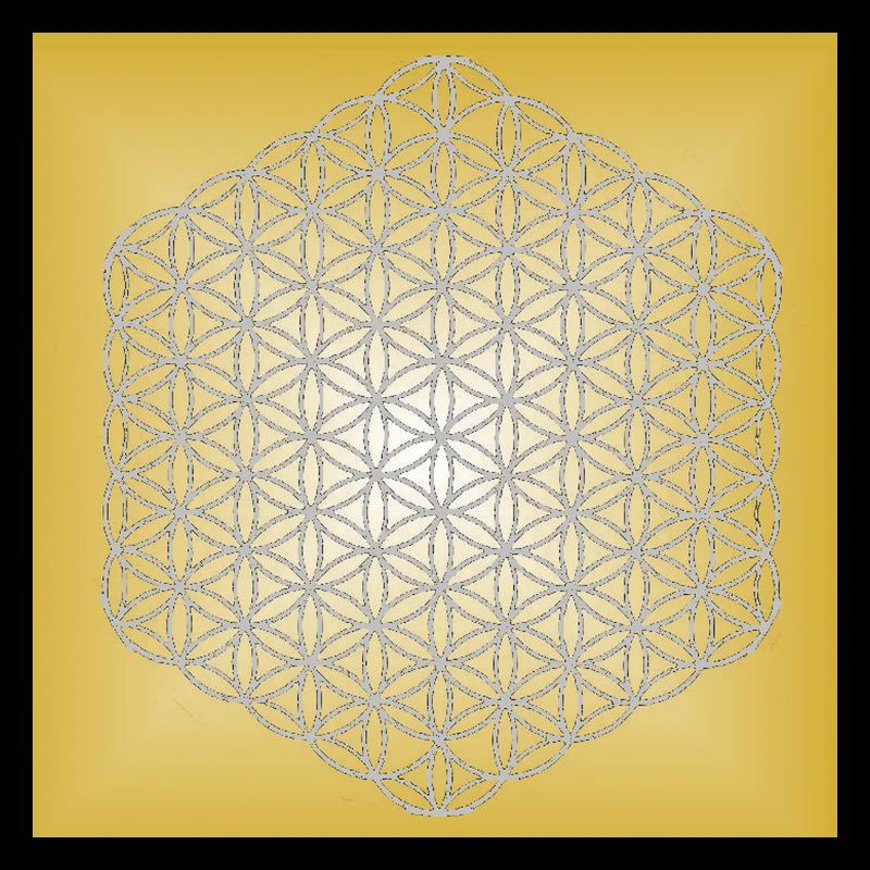 Blume des Lebens silber - 5. Dimension