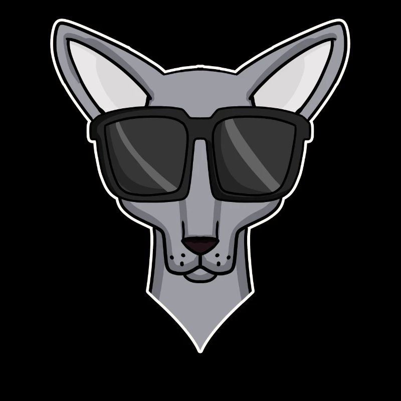 chat cool avec des lunettes de soleil - race de chat Sphynx
