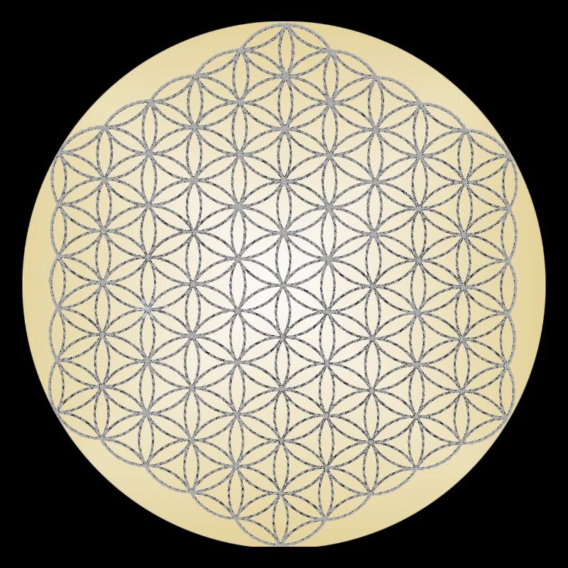 Blume des Lebens Silber - 5. Dimension - Mandala