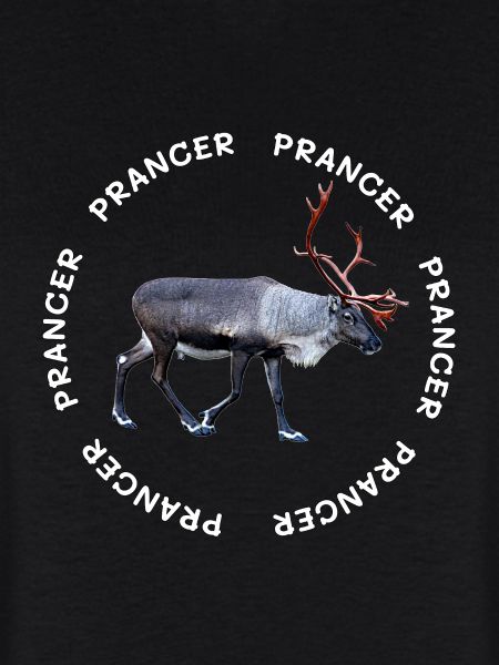 PRANCER