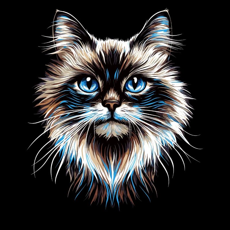 Chat Ragdoll Chat Ragdoll Chat Mignon Chats Ragdoll