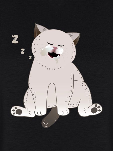 chat endormi