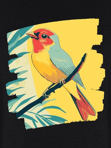 Canari