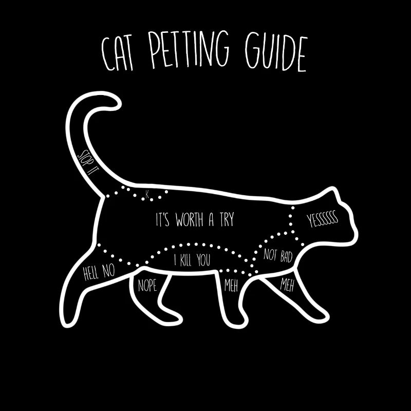 Guide de caresses pour chat