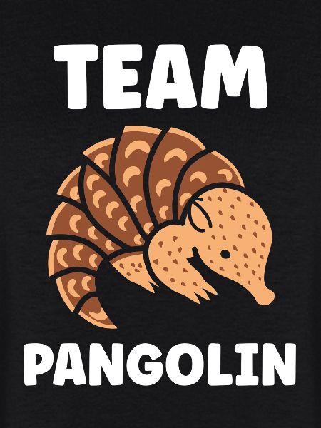 Pangolin Équipe Cartoon