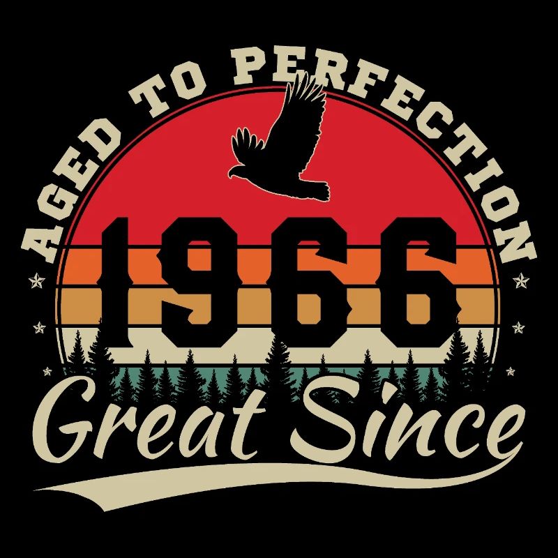 1966 Vintage Retro Geburtstagsgeschenk