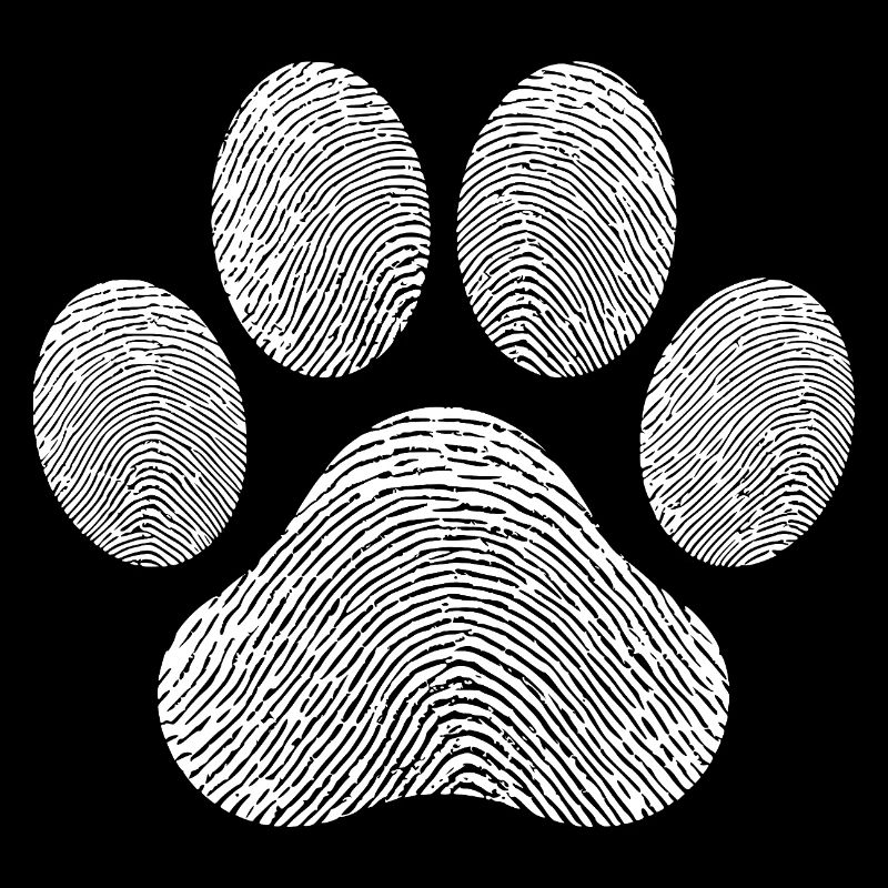 Cat Animal Lover Illustration Dog