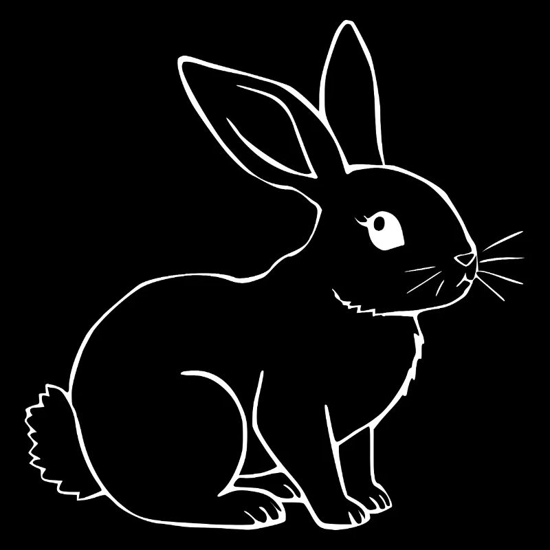 Rabbit Bunny Bunny Dwarf Rabbit Gift