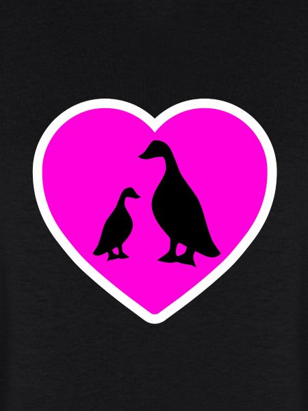 Canards