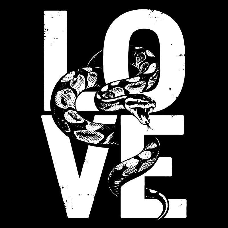 King Python Snakes LOVE Terrarium Python