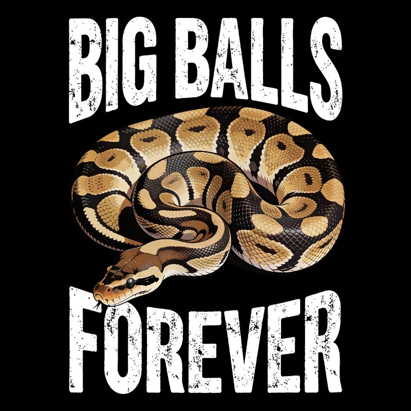 King Python Snakes Lover Terrarium Python