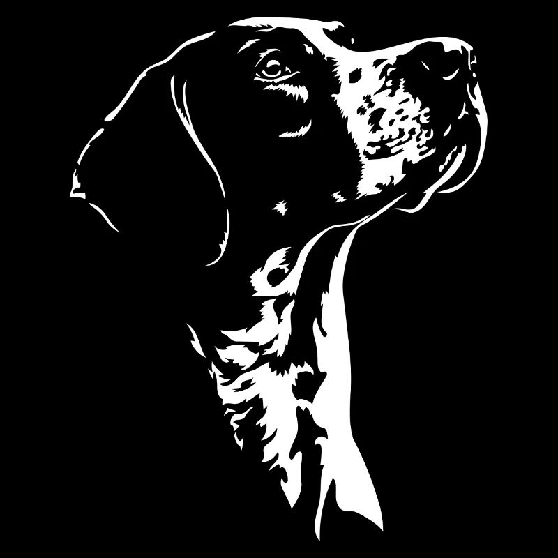 Chiens de chasse à silhouette pointer anglais Wilsigns