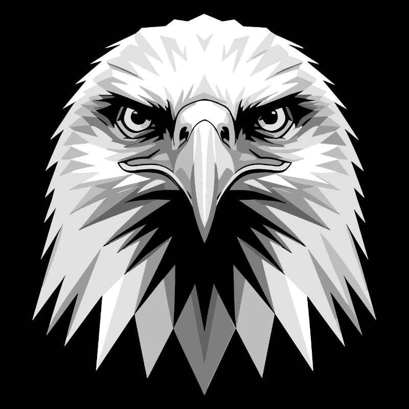 Eagle Bald Eagle Golden Eagle White-tailed Eagle