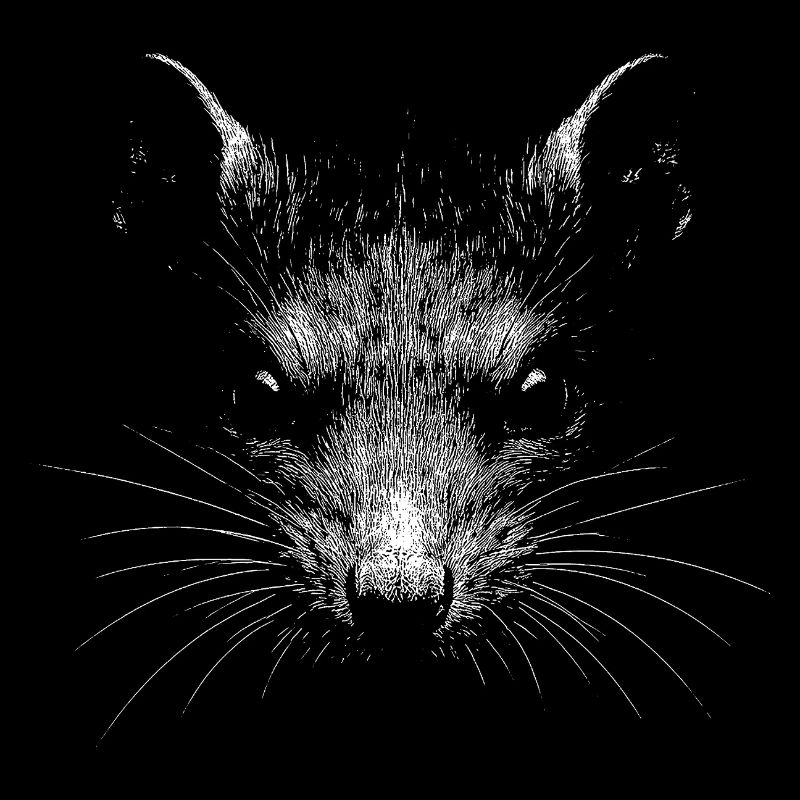 Ratte