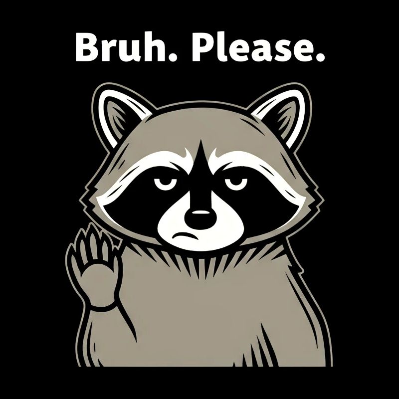 Bruh Please Waschbär Meme