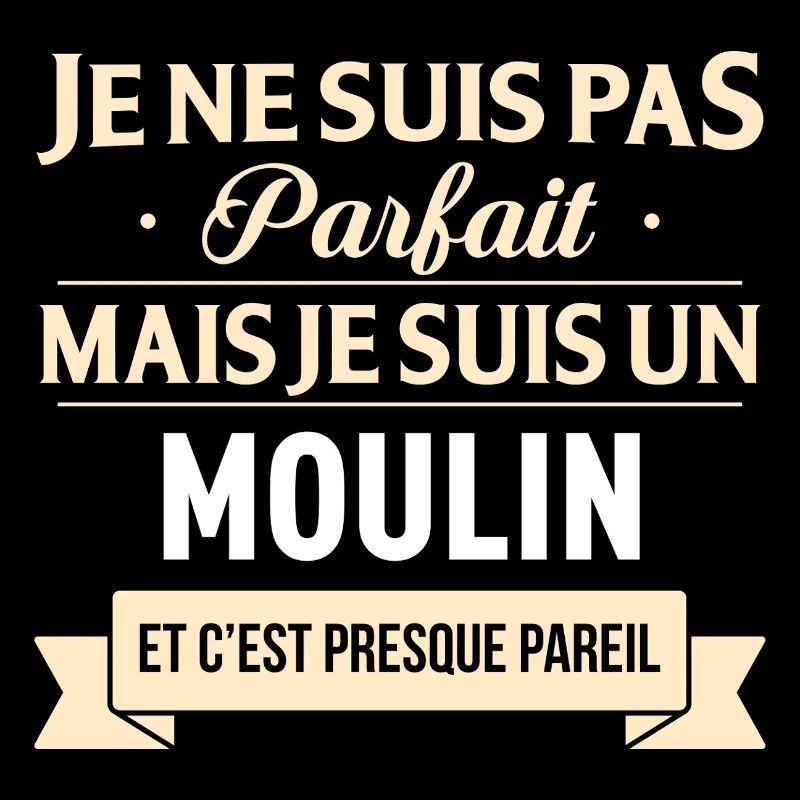 Je Ne Suis Pas Parfait Mais Je Suis Un Moulin E...