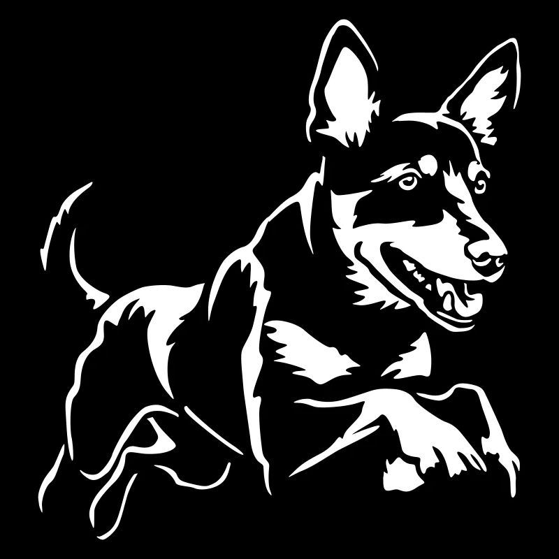 Australian Kelpie "Black Edition"