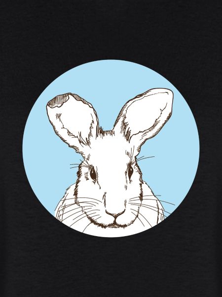 Lapin