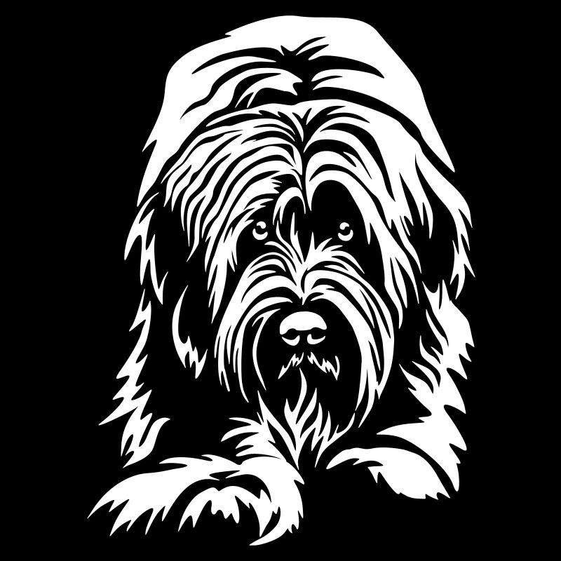 Briard "Black Edition"