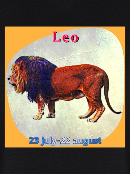 lion