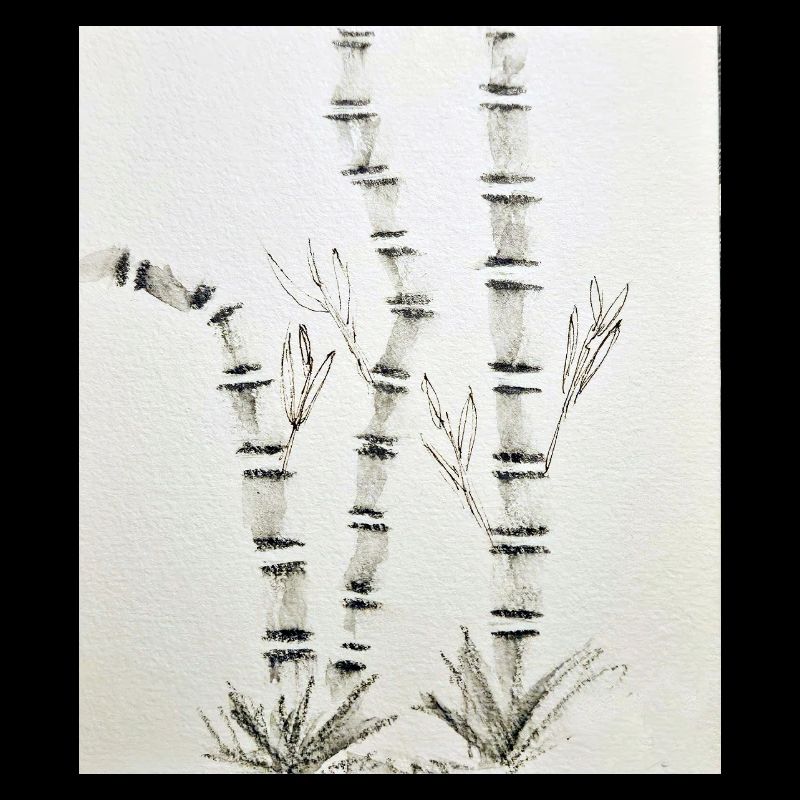 Disegno di bambù in stile inchiostro