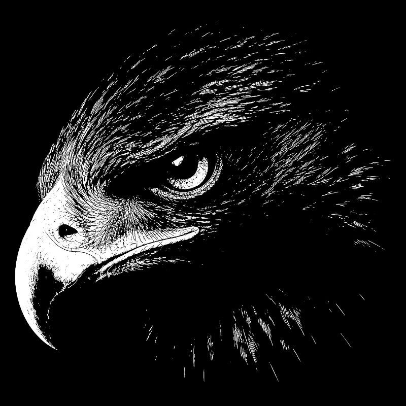 Golden eagle