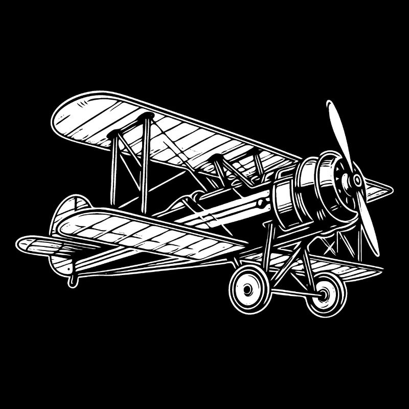 Biplane Oldtimer, conception classique d’avion