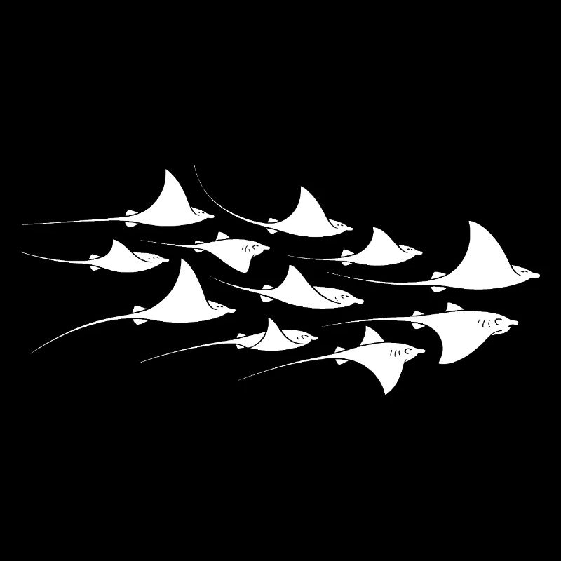 Manta Ray, Devil Ray, Stingray, Diver