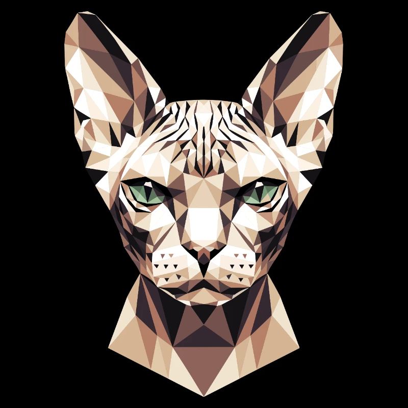 Sphynx Chat Sphynx Chat Chat Canadien Sphinx mignon