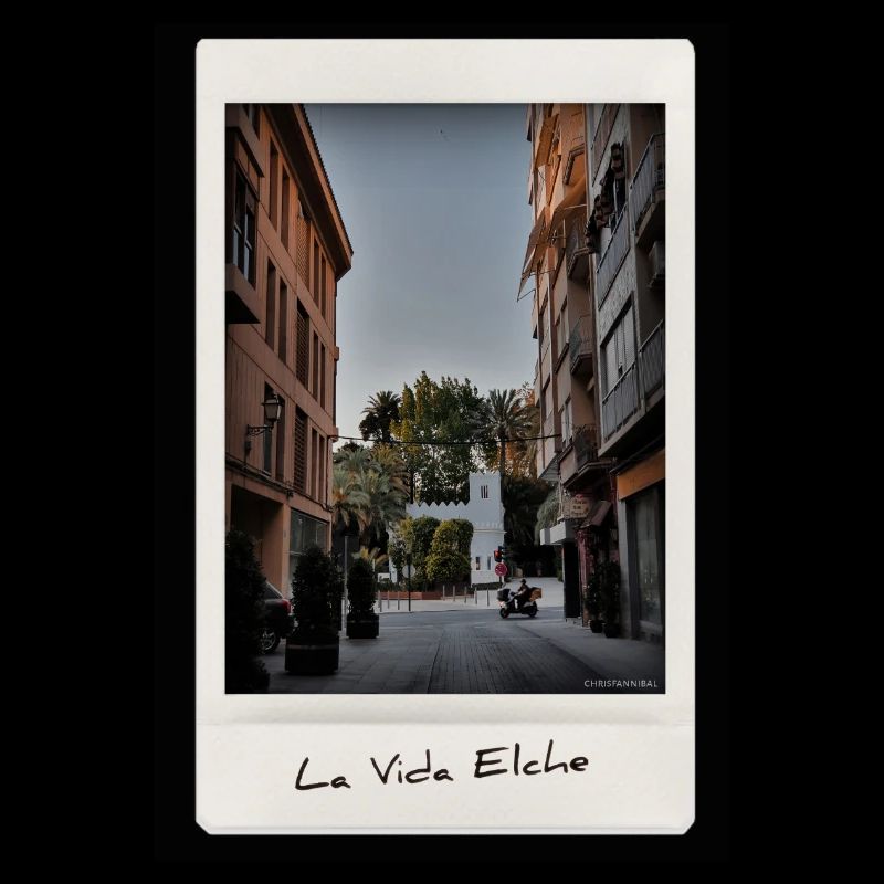 Leben Elche