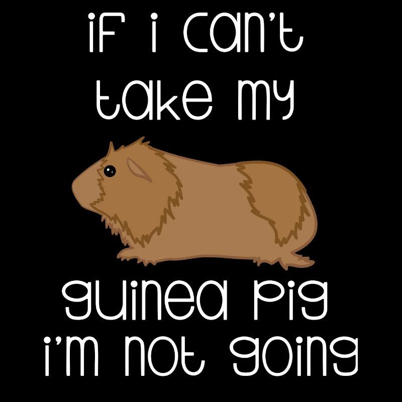 Cochon d'Inde - Cochon d'Inde - Drôle