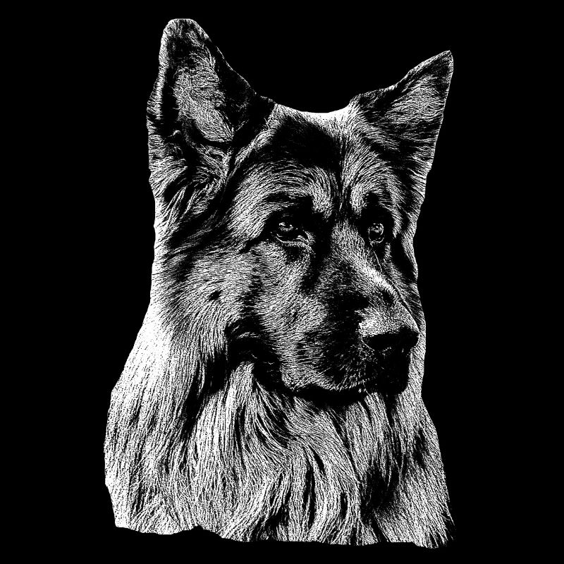 Schäferhund Deutscher Schäferhund Owczarek niemiecki