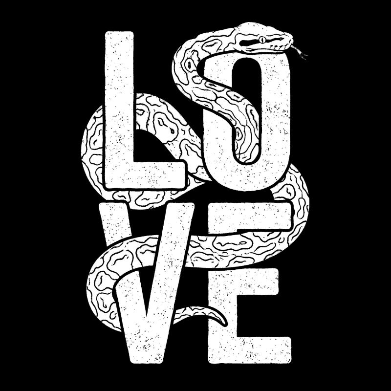 Les serpents rois Python ADORENT les pythons de terrarium