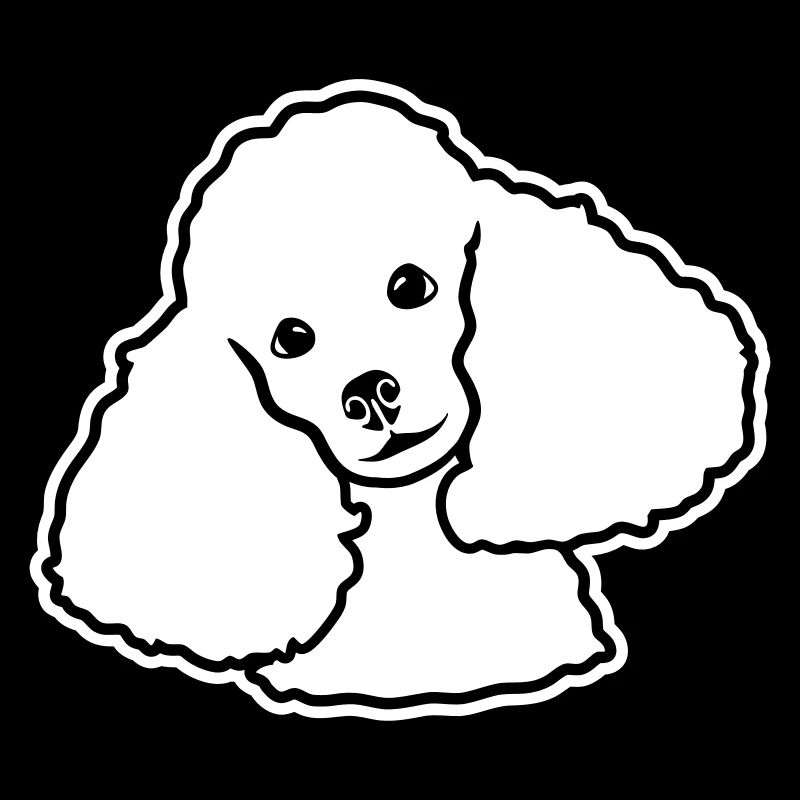 Poodle
